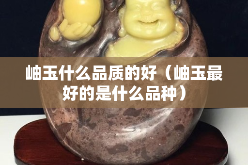 岫玉什么品质的好（岫玉最好的是什么品种）