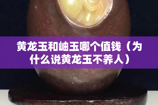 黄龙玉和岫玉哪个值钱（为什么说黄龙玉不养人）