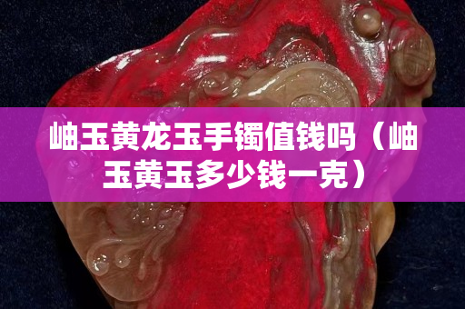 岫玉黄龙玉手镯值钱吗（岫玉黄玉多少钱一克）