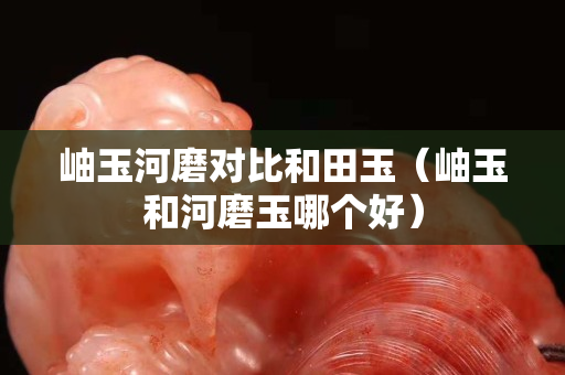 岫玉河磨对比和田玉（岫玉和河磨玉哪个好）