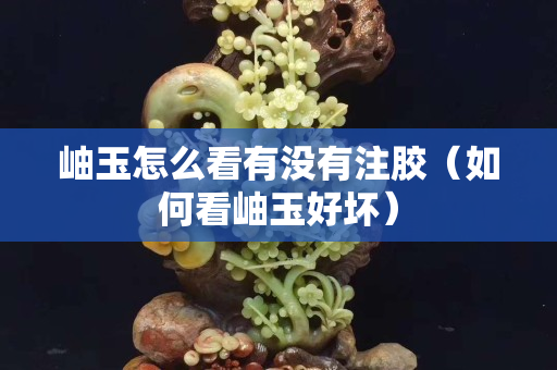 岫玉怎么看有没有注胶（如何看岫玉好坏）
