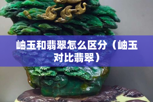 岫玉和翡翠怎么区分（岫玉对比翡翠）