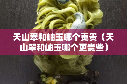 天山翠和岫玉哪个更贵（天山翠和岫玉哪个更贵些）