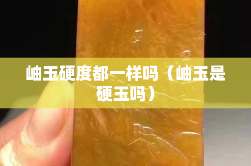 岫玉硬度都一样吗（岫玉是硬玉吗）