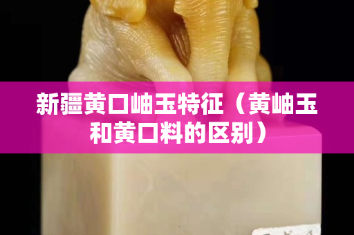 新疆黄口岫玉特征（黄岫玉和黄口料的区别）