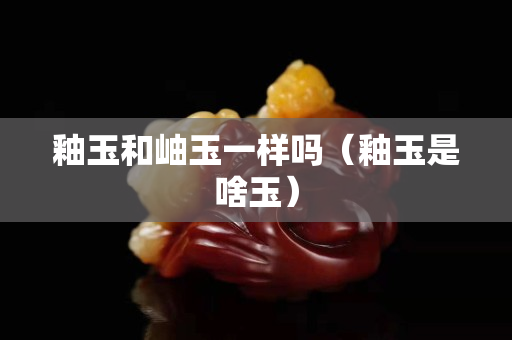 釉玉和岫玉一样吗（釉玉是啥玉）