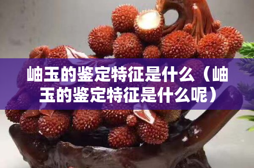 岫玉的鉴定特征是什么（岫玉的鉴定特征是什么呢）