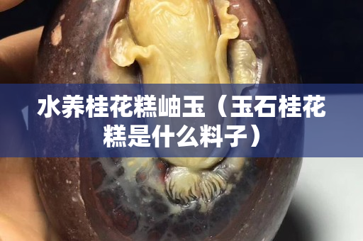 水养桂花糕岫玉（玉石桂花糕是什么料子）