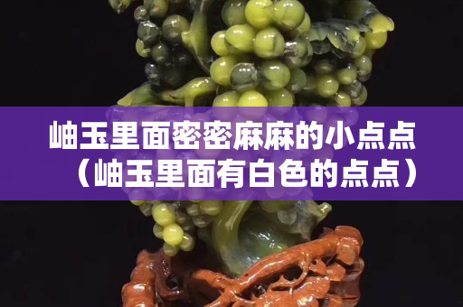 岫玉里面密密麻麻的小点点（岫玉里面有白色的点点）