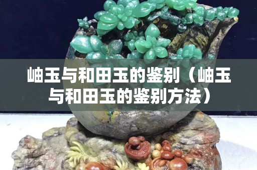 岫玉与和田玉的鉴别（岫玉与和田玉的鉴别方法）