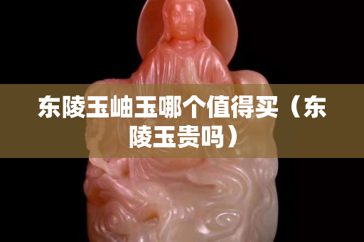 东陵玉岫玉哪个值得买（东陵玉贵吗）
