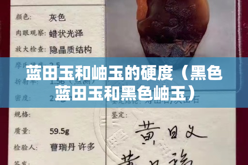 蓝田玉和岫玉的硬度（黑色蓝田玉和黑色岫玉）