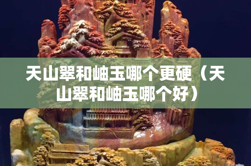 天山翠和岫玉哪个更硬（天山翠和岫玉哪个好）
