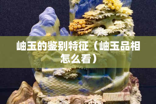 岫玉的鉴别特征（岫玉品相怎么看）