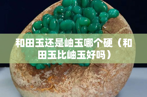 和田玉还是岫玉哪个硬（和田玉比岫玉好吗）