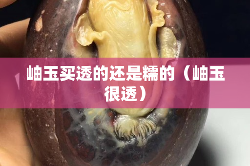 岫玉买透的还是糯的（岫玉很透）