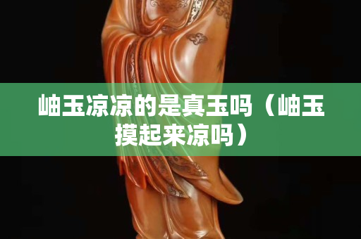 岫玉凉凉的是真玉吗（岫玉摸起来凉吗）