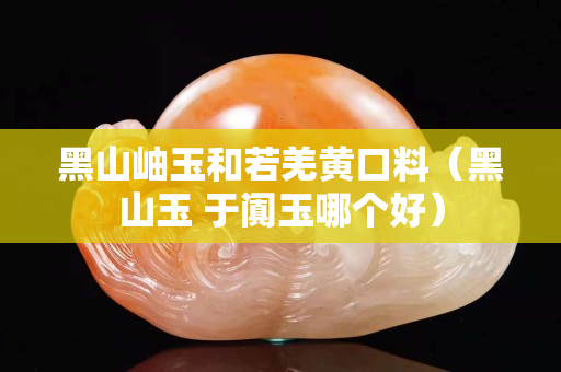黑山岫玉和若羌黄口料（黑山玉 于阗玉哪个好）