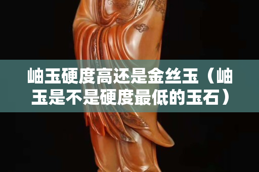 岫玉硬度高还是金丝玉（岫玉是不是硬度最低的玉石）
