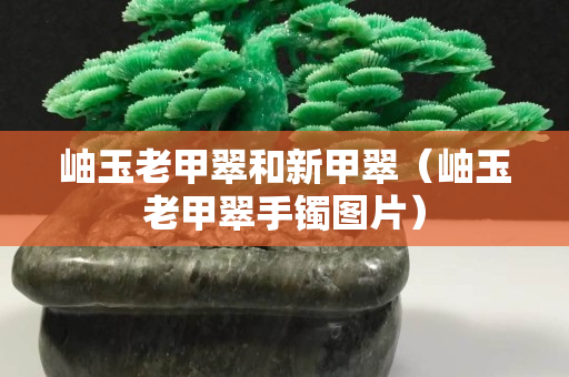 岫玉老甲翠和新甲翠（岫玉老甲翠手镯图片）