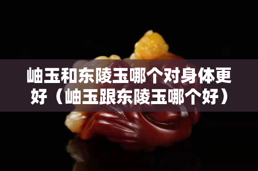 岫玉和东陵玉哪个对身体更好（岫玉跟东陵玉哪个好）