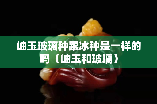 岫玉玻璃种跟冰种是一样的吗（岫玉和玻璃）