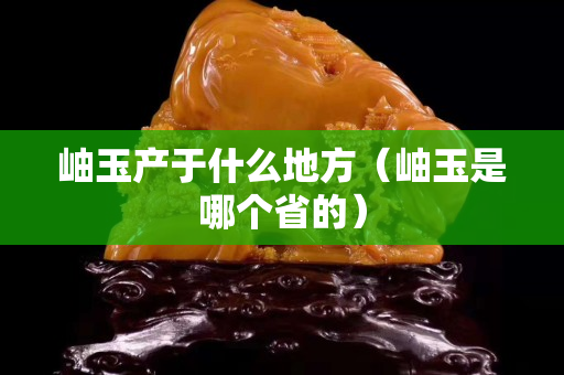 岫玉产于什么地方（岫玉是哪个省的）