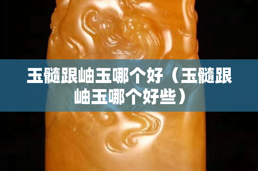 玉髓跟岫玉哪个好（玉髓跟岫玉哪个好些）