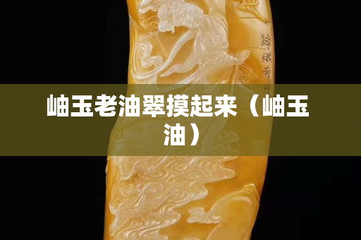 岫玉老油翠摸起来（岫玉 油）