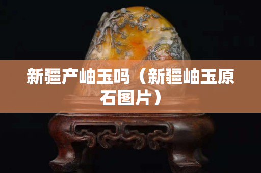 新疆产岫玉吗（新疆岫玉原石图片）