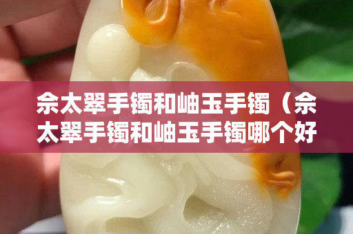 佘太翠手镯和岫玉手镯（佘太翠手镯和岫玉手镯哪个好）