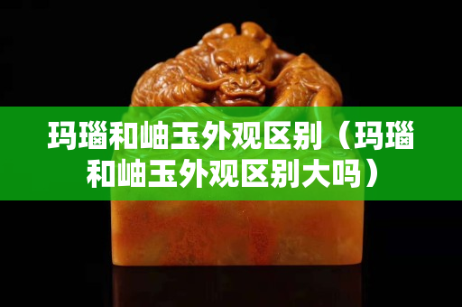 玛瑙和岫玉外观区别（玛瑙和岫玉外观区别大吗）