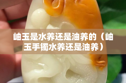 岫玉是水养还是油养的（岫玉手镯水养还是油养）