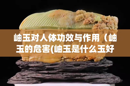岫玉对人体功效与作用（岫玉的危害(岫玉是什么玉好还是不好)）