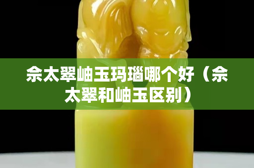 佘太翠岫玉玛瑙哪个好（佘太翠和岫玉区别）