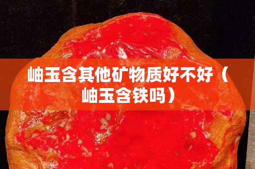 岫玉含其他矿物质好不好（岫玉含铁吗）