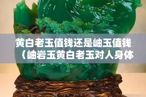 黄白老玉值钱还是岫玉值钱（岫岩玉黄白老玉对人身体有什么好处）