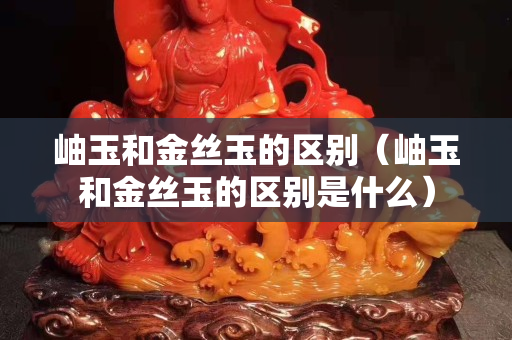 岫玉和金丝玉的区别（岫玉和金丝玉的区别是什么）