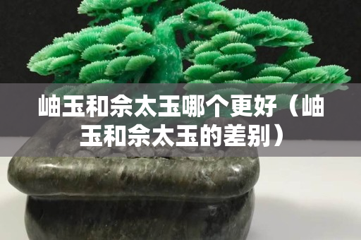 岫玉和佘太玉哪个更好（岫玉和佘太玉的差别）