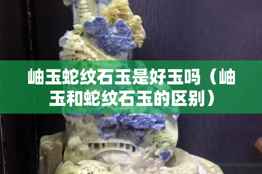 岫玉蛇纹石玉是好玉吗（岫玉和蛇纹石玉的区别）