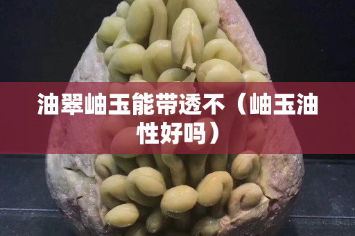 油翠岫玉能带透不（岫玉油性好吗）