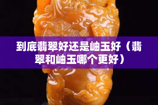到底翡翠好还是岫玉好（翡翠和岫玉哪个更好）