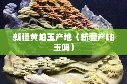 新疆黄岫玉产地（新疆产岫玉吗）