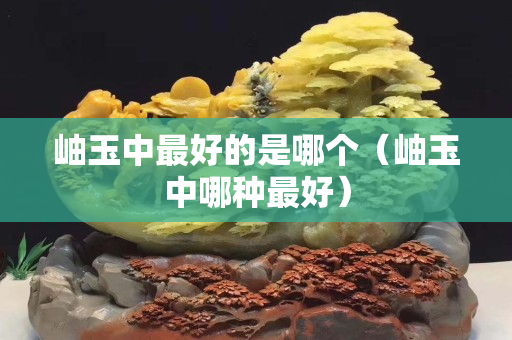 岫玉中最好的是哪个（岫玉中哪种最好）