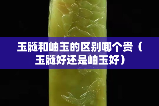 玉髓和岫玉的区别哪个贵（玉髓好还是岫玉好）