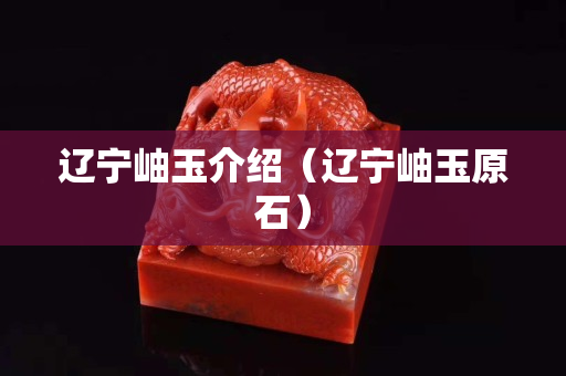辽宁岫玉介绍（辽宁岫玉原石）