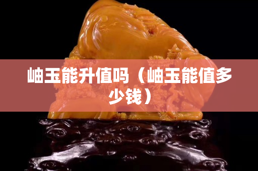 岫玉能升值吗（岫玉能值多少钱）