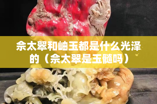 佘太翠和岫玉都是什么光泽的（佘太翠是玉髓吗）