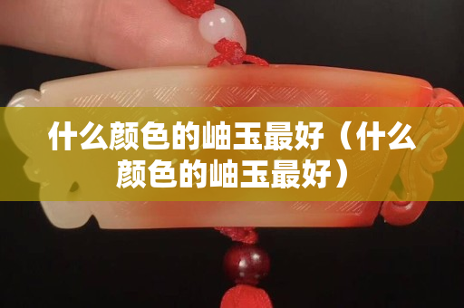 什么颜色的岫玉最好（什么颜色的岫玉最好）