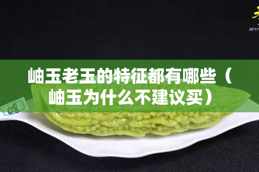 岫玉老玉的特征都有哪些（岫玉为什么不建议买）
